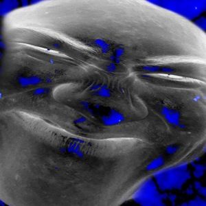 Meet your Posher, Ethan